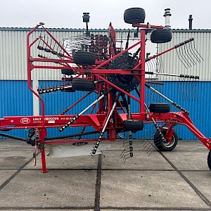 Lely Hibiscus 915 CD zwadhark