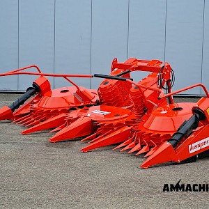 Kemper 445 Year 2026