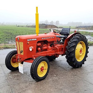 David Brown Oldtimer tractor 770
