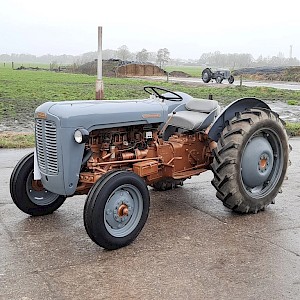 Massey Ferguson Oldtimer tractor, TE35