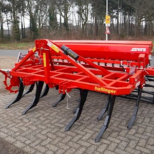 Evers Haflinger LJ 11 B