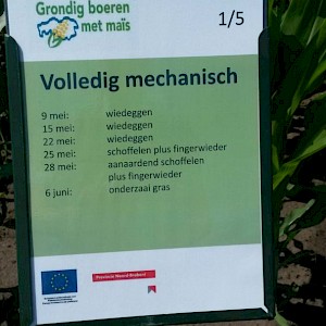 Gras in mais wiedeg zaaimachine
