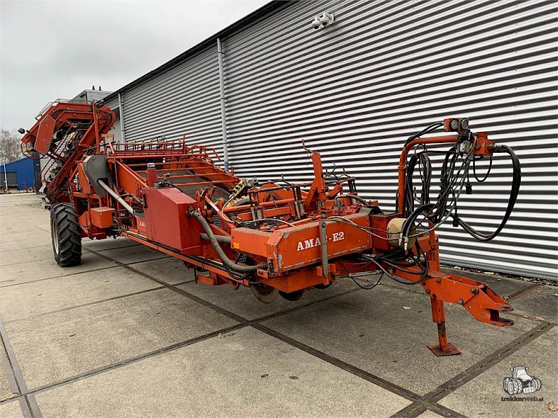 amac butterfly jordan 1